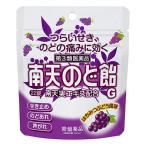 【第3類医薬品】 常盤薬品 南天のど飴 G 22錠 はちみつぶどう風味 パウチタイプ