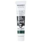  turner акрил гуашь 20ml #45 глубокий зеленый краситель скорость . водостойкий блеск удаление коврик иллюстрации [02] ( всего 1100 иен и больше . покупка возможно )