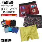 BODY WILD боксеры случайный ga коричневый трусы-боксеры Gunze M L LL корпус wild мужской нижнее белье внутренний мужской джентльмен брюки 