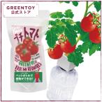 公式 GREENTOY 栽培キット グリーント