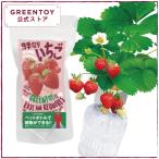 公式 GREENTOY 栽培キット グリーント