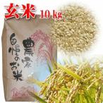 厳選良質米（玄米10kg）令和7年秋・山口県光市・こしひかり〔波動測定で選んだ最高級米〕