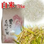 厳選良質米(白米5kg)令和7年秋・山口県光市・こしひかり〔波動測定で選んだ最高級米〕