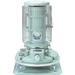 アラジン ブルーフレームヒーター BF3911（G）（グリーン） 石油