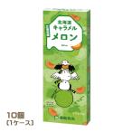 donan Hokkaido дыня карамель (18 шарик )×10 шт (1 кейс ) фрукты Hokkaido закуска массовая закупка для бизнеса торговец приветствуется 