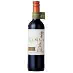 赤ワイン ベサ ガンマ オーガニック カルメネール レセルバ 750ml チリ 赤ワイン ミディアムボディ 641594 MT wine