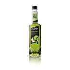 ダ ヴィンチ グルメ グリーンアップル PET 750ml x 12本 ケース販売 送料無料 本州のみ LJ マレーシア シロップ 271105