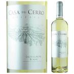  vi nyama- TIKKA sa Dell Cello rezeruvaso- vi nyon Blanc 750ml бесплатная доставка Honshu только 21(TO) Chile белый вино central vare-2101340000762