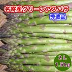 ショッピング中元 北海道　特選アスパラガス　名寄産　グリーンアスパラ（露地アスパラ）　秀品　２Ｌ　１.５ｋｇ（500ｇｘ3）　送料無料 ★お中元ギフトにも好評！！