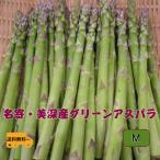 特選アスパラガス　北海道　名寄・美深産　グリーンアスパラ（露地アスパラ）Ｍ 800ｇ（400ｇｘ2）送料無料【５月下旬発送開始】