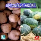  Hokkaido niseko производство мужчина .L4kg+ юг .2 шар ( примерно 3kg) Hokkaido производство картофель. бренд! осенний тест .NO1[ бесплатная доставка ]