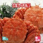 北海道産 浜茹 毛蟹 2ハイ 約1.0Kg 送料無料!!