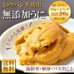 ウニ 無添加 100g×2パック 花見 2024 プレゼント 4人前 うに ミョウバン不使用 海鮮丼 ギフト のし パスタ 母の日