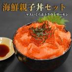 海鮮丼 2種セット イクラ サーモン 2024 プレゼント お刺身用 ギフト 手巻き寿司 お祝い ギ ...