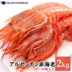 アルゼンチン赤エビ L1 特大サイズ �
