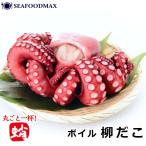 ta. осьминог .. осьминог 1 кубок 800~1000g Boyle .........dako* Boyle [...]*