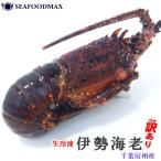  Исэ город море .[ есть перевод ] рефрижератор 300-400g нагревание для сырой Исэ город .. сырой .. креветка море .BBQ party лангуст * рефрижератор Исэ город море .*