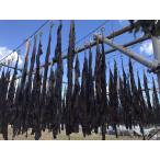  высушенный . черепаха 35g