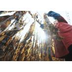  высушенный . черепаха 1kg