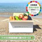 ショッピングフードロス 淡路島産規格外野菜お任せボックス - Mサイズ（2〜3人向け）