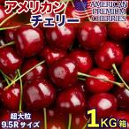 ショッピングお中元 送料無料 アメリカンチェリー 約1kg 箱 大粒サイズ 9.5row 空輸 ビング種 鮮度保持袋入 日本向け濃い甘み味で食べ応え抜群 美國車厘子 櫻桃 お中元 ＜安心の国内検品＞