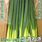 青ねぎ 約10kg＜5キロ×2箱＞ 業務用 中国産 M/Sサイズ 新鮮青ネギ 青葱 通年提供 店舗様定期購入対応可＜国内検品＞＜配達日指定可＞