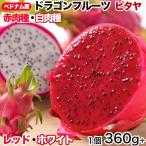 hSt[c 2ރZbg 6(3{3j1350gȏ 2.4kg xgiY ԓ bhs^ { Η Dragon Fruit Pitaya