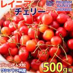 レイニアチェリー 約500g 箱 空輸 ジャンボ超大粒9.5row 鮮度保持袋入 ワシントン州産日本向け アメリカンチェリー レーニア 大粒さくらんぼ 雷尼櫻桃 Rainier