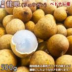 生龍眼（リュウガン）約500g ベトナム産｜空輸直送 フレッシュ生竜眼｜日本向け 濃厚な甘さで果汁も豊富｜栄養価の高く花のように芳醇な香りフルーツ｜国内検品