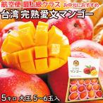 完熟台湾マンゴー 約2.5kg 5〜6玉入 空輸 化粧箱 大玉限定 最上級クラス 台湾アップルマンゴー アーウィン種 Taiwan Mango 台灣愛文芒果 お中元 果物ギフト