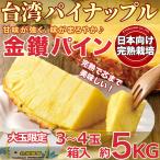 台湾パイナップル 約5kg ＜3~4玉入＞