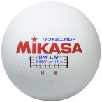 mikasa(MIKASA) soft Mini волейбол ( большой ) иен .78cm 175g легкий модель белый BM-LM