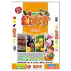  Omiya зеленый сервис масло ..521 5kg