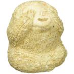  Shigaraki ...... земля украшение видеть корзина 