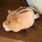 NICI/ulibo- Sprinter 10cm