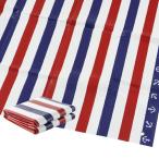 ショッピングレジャーシート アサヒ興洋 レジャーシート 厚手 2~3人用 90×180cm 1畳 マリンボーダー柄 シートピン付き 3層構造 防水 冷気・湿気防止 やわらかい座り