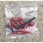 ブライトレッドピンク 7/8インチ 6角(レンチ付き) カラーナットセット スケボー スケートボード ハードウェア ネジ