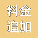 料金追加 ご理解のうえご購入ください。