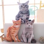  кошка мягкая игрушка Dakimakura супер настоящий кошка игрушка симпатичный Kids она ребенок .. нежный животное смешанные товары . день рождения память день подарок 50cm