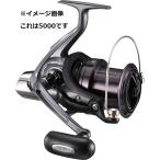 ダイワ 17 クロスキャスト 4000QD スピニングリール - 最安値・価格