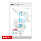 サプリ サプリメント 乳酸菌 サプリ 有胞子性乳酸菌ソフトカプセル 約1ヵ月分 ダイエット