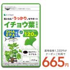 ショッピングサプリ クーポンで半額665円  サプリ サプリメント イチョウ葉エキス　約1ヵ月分 DHA EPA フラボノイド配糖体24％以上 テルペンラクトン6％以上