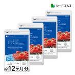 サプリ サプリメント グルコサミン コンドロイチン MSM 約12ヵ月分 サプリ サプリメント ダイエット