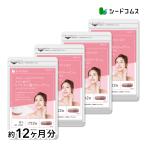 サプリ サプリメント ダブル低分子ヒアルロン酸コラーゲン 約12ヵ月分 サプリ サプリメント ダイエット
