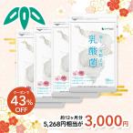 サプリ サプリメント 乳酸菌 サプリ 有胞子性乳酸菌ソフトカプセル BIGサイズ約1年分 サプリ サプリメント ダイエット