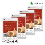 サプリ サプリメント マカ BIGサイズ約1年分　送料無料　サプリ　サプリメント ダイエット