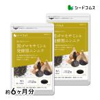 サプリ サプリメント セサミン 黒ゴマセサミン＆発酵黒ニンニク約6ヵ月分　お徳用半年分サプリSALE　サプリ　サプリメント ダイエット