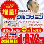 プロテオグリカン 北海道産 鮭由来 コンドロイチン配合 2型コラーゲン配合グルコサミン+コンドロイチン+MSM 約4ヵ月分