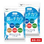 サプリ サプリメント 菌のチカラ 約6ヵ月分 お徳用半年分サプリSALE ビフィズス菌 乳酸菌 ナットウキナーゼ 紅麹菌 酵母菌 フラクトオリゴ糖 ガラクトオリゴ糖