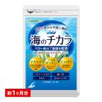 オメガ3 DHA EPA配合 海のチカラ 約1ヵ